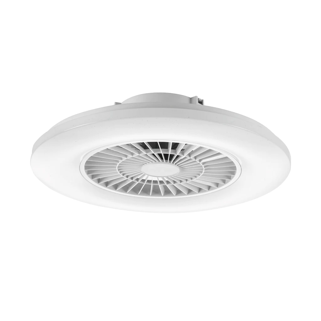 Modern Remote Control Decorative Lighting Ceiling Fan With LED Light