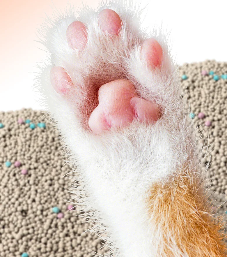 OEM 100% Natural Sodium Cat Sand Lemon Scent Odour Lock Strong Dust Free Clumping Bentonite Cat Litter