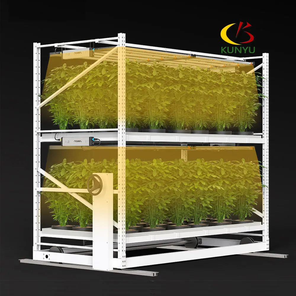 Kygreenhouse Vertical Hydroponic System Medical Plant Grow Rack Container Growing Hemp Seeds Greenhouse for Planting