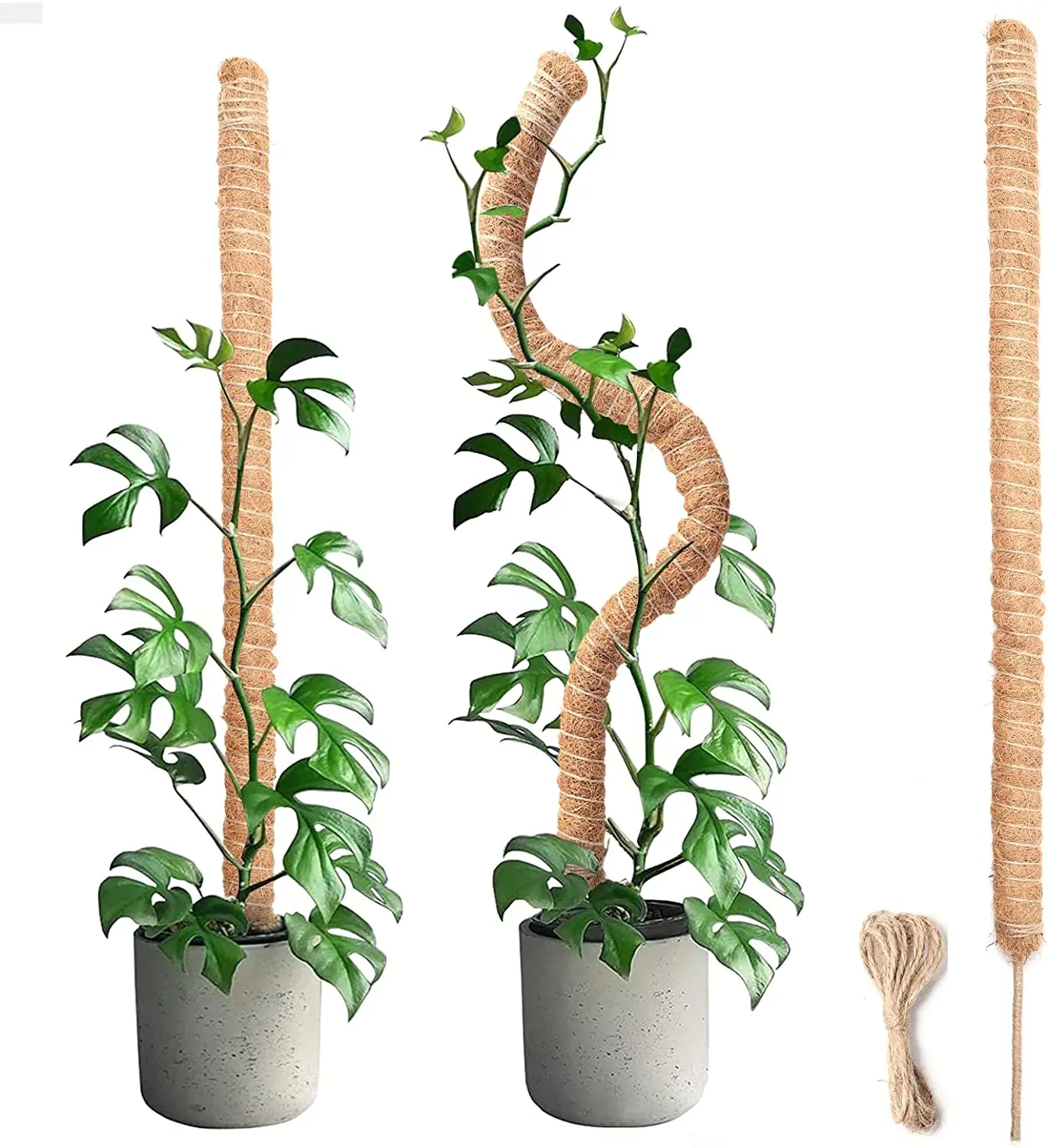 Natural Indoor Bendable Moss Pole For Climbing Plants Garden Plant Support Stakes 64cm/114cm/customized Size