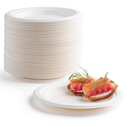 100% Sugarcane Bagasse Fiber Compostable Disposable Round Pizza Natural Green Eco Paper Plates