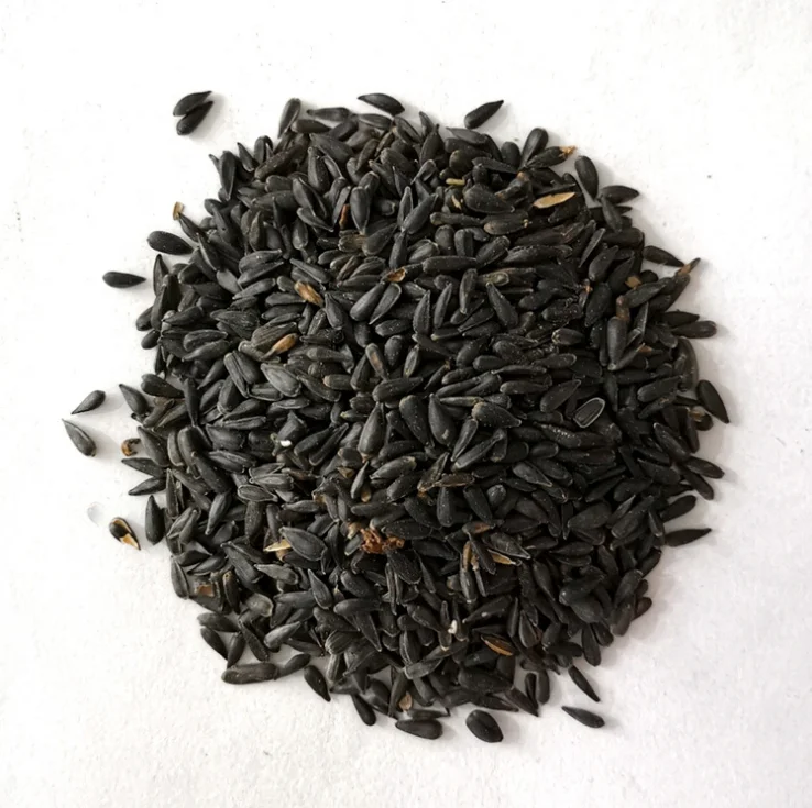 Семена подсолнечника, декоративные цветы