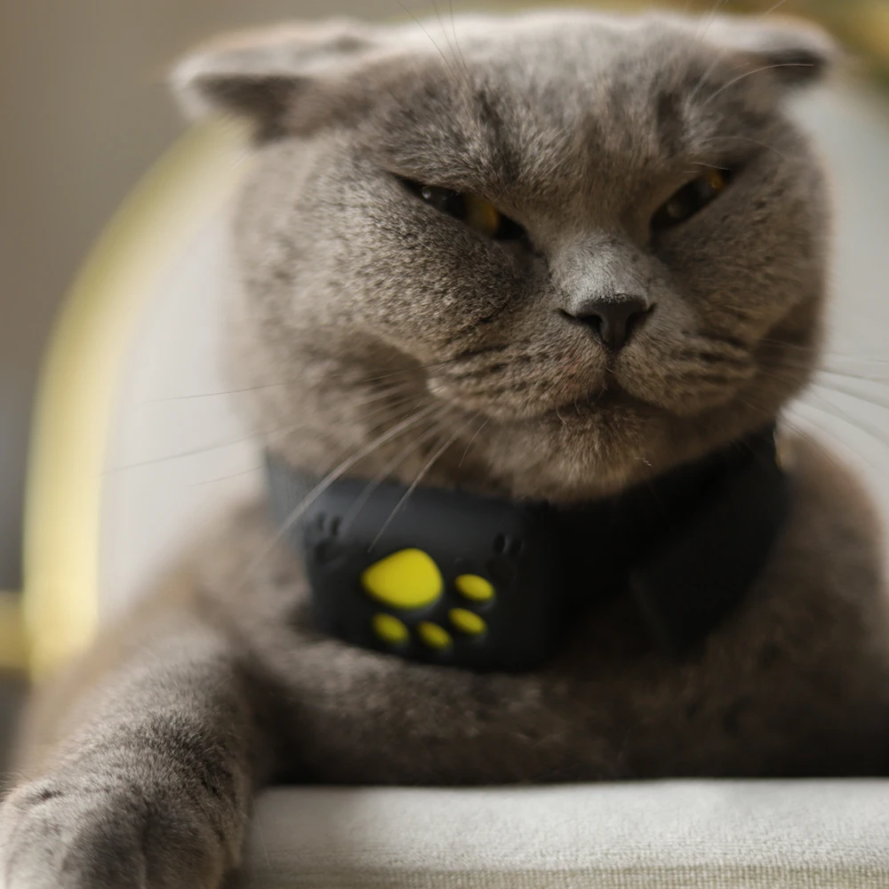 pet gps tracking Cats Collars Dog GPS Tracker/ Pets Tracker collar anti-loss device waterproof miniature tracker