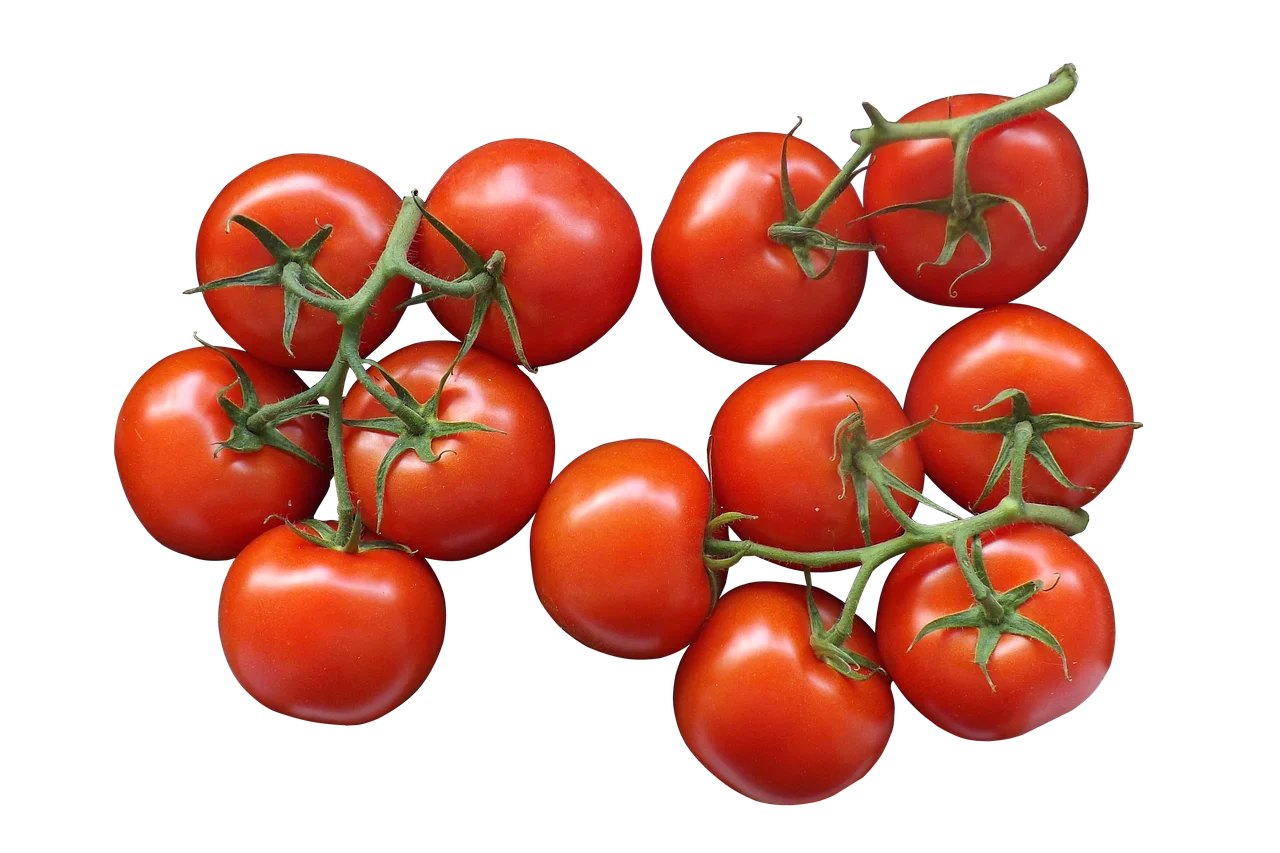Indonesia HOT sell Fresh Tomato sweet  Natural red  Best quality wholesale fresh tomatoes seed black