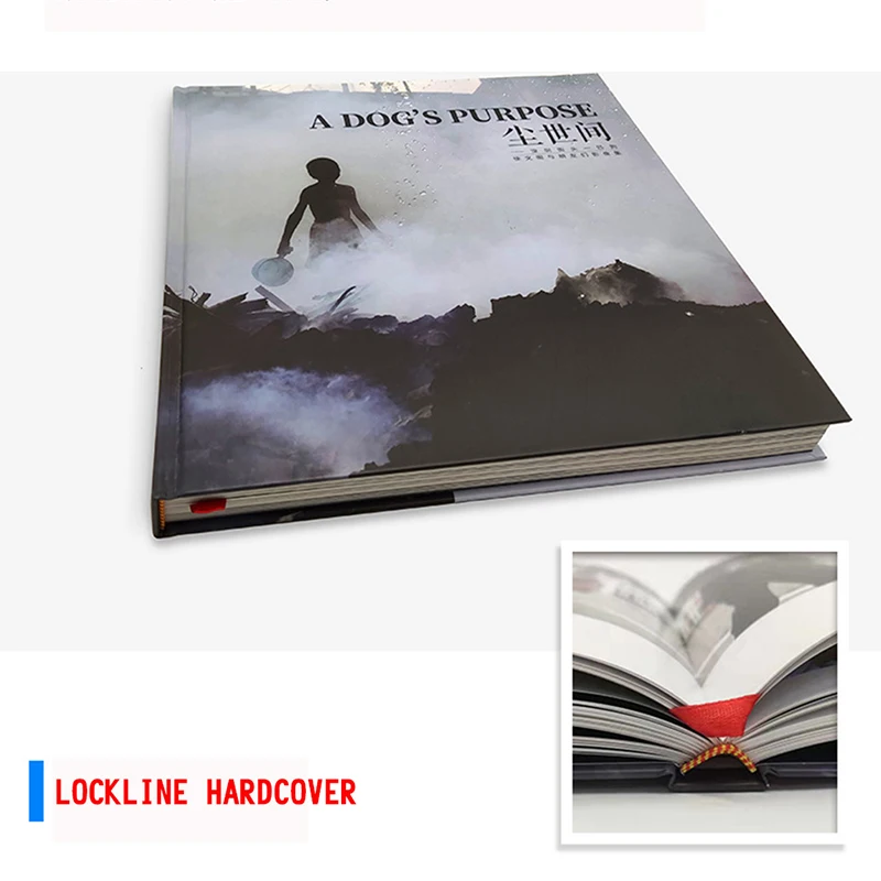 Руководство по переработке средств защиты окружающей среды для сотрудников компании, разработка каталога продукции, цветного материала и книги