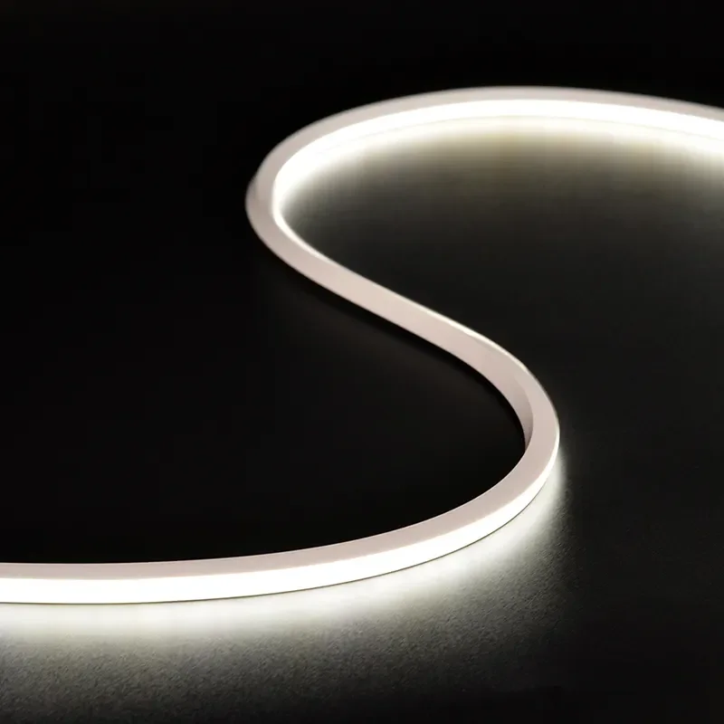 5m 50m 6x12mm 8x16mm Led Neon Light Dc12v 24v Ac110v 220v Single Color Rgb Neon Strip Silicone Pvc Led Flexible Neon Sign Light