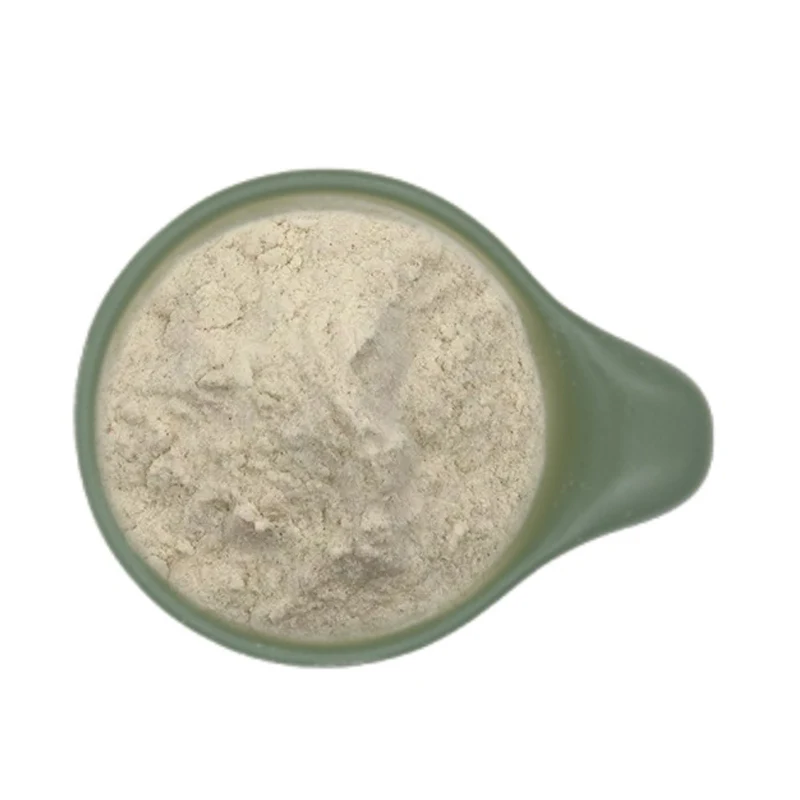 Plantago ovata Extract Natural Psyllium Husk Extract Psyllium Seed Husk Powder