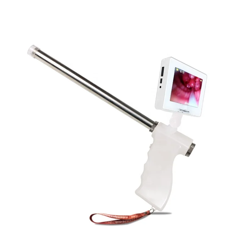 factory making Cattle Insemination Gun