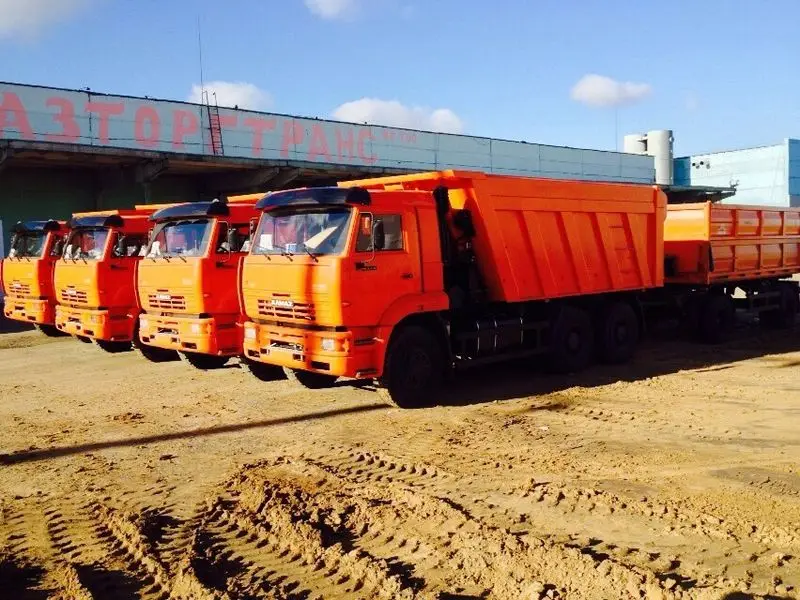 Wheat Grain Wholesale Natural Organic First Grade Animal Feed Wheat 50 Kg Bag Packaging Wheat Seeds Cereal Grain