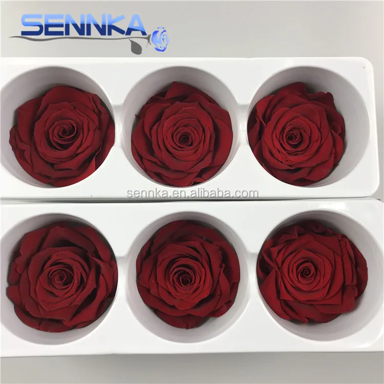 Preserved Real Flowers Natural Fresh Rose head