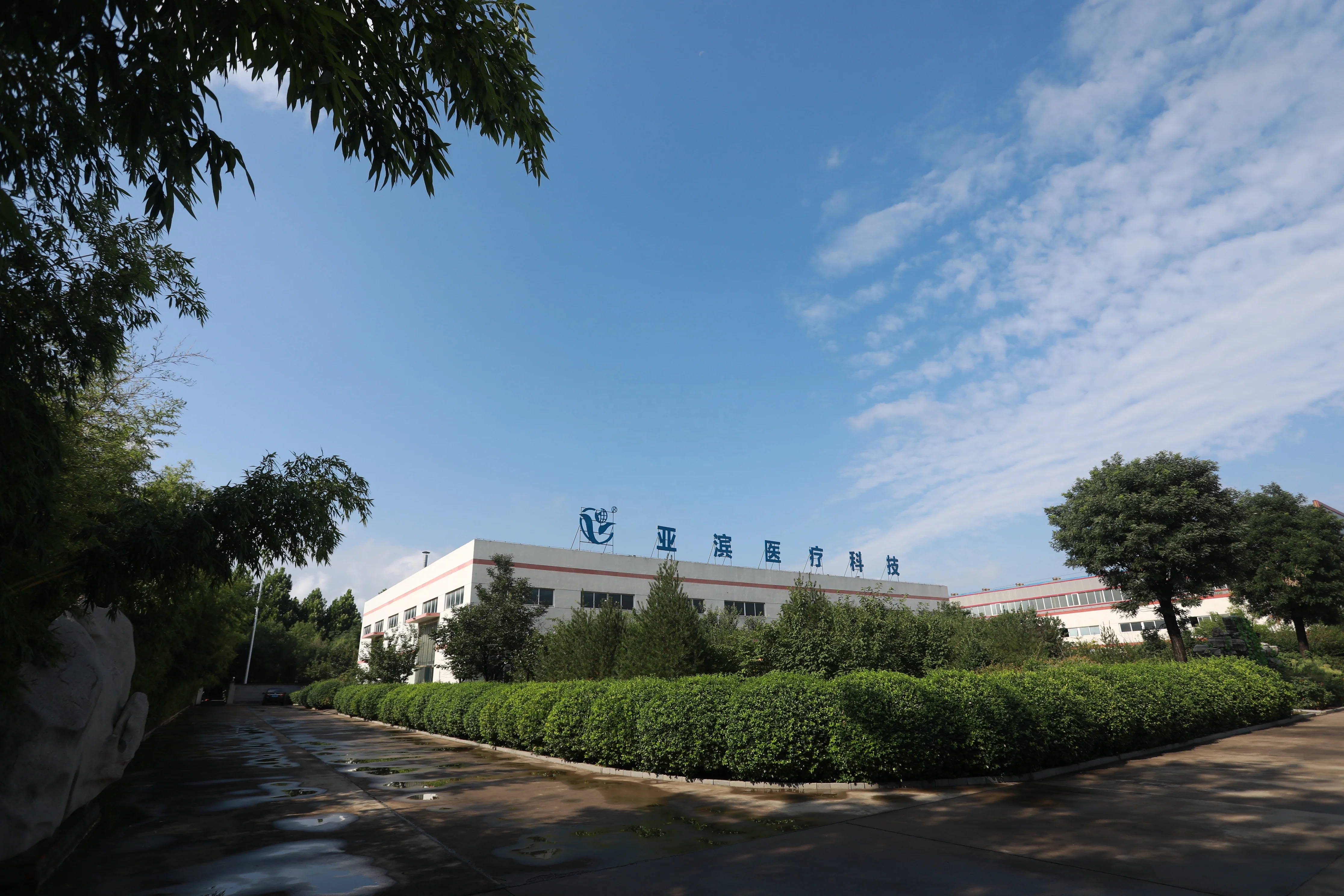 Moldable Thermoplastic Sheets Used for Orthotics Insoles Plastic Insoles Ce Blood Bag Price Blood Bag Lowest Price in China TPE