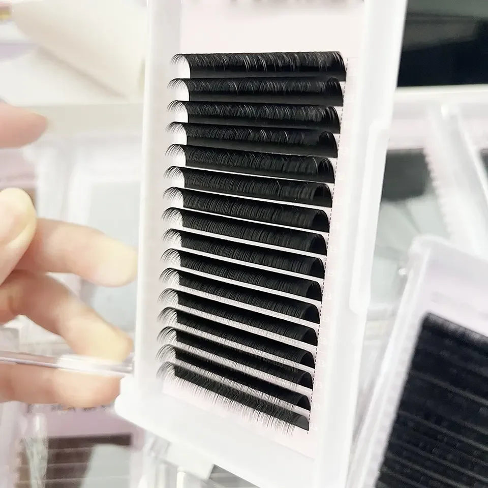 Free Sample C CC D DD Curl 0.07 mm Thickness Mix Length Korea PBT Fibre Flat Private Label Black Eye Lashes Eyelashes Extension