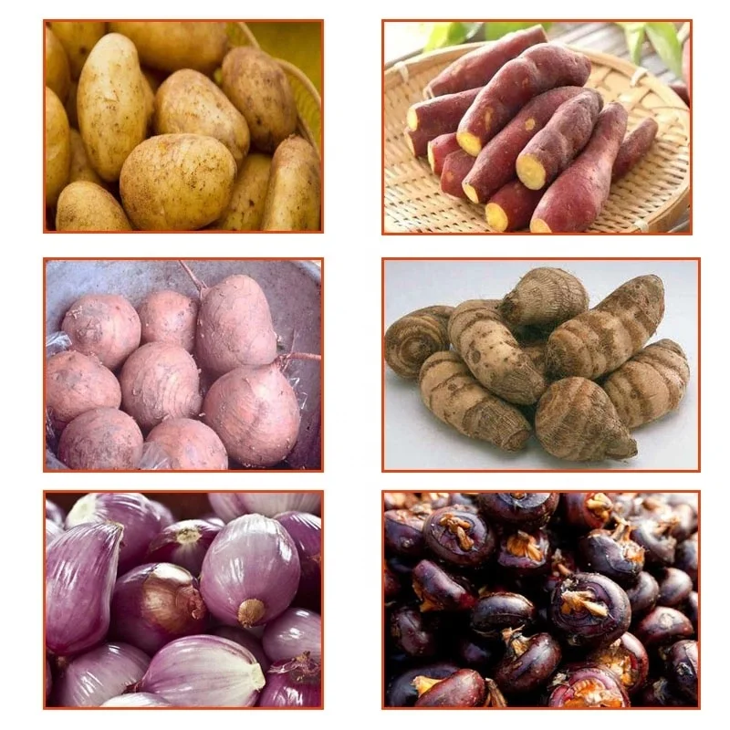 
commercial factory price potato garlic / ginger / carrot / sweet potato / onion peeler peeling machine for sale 