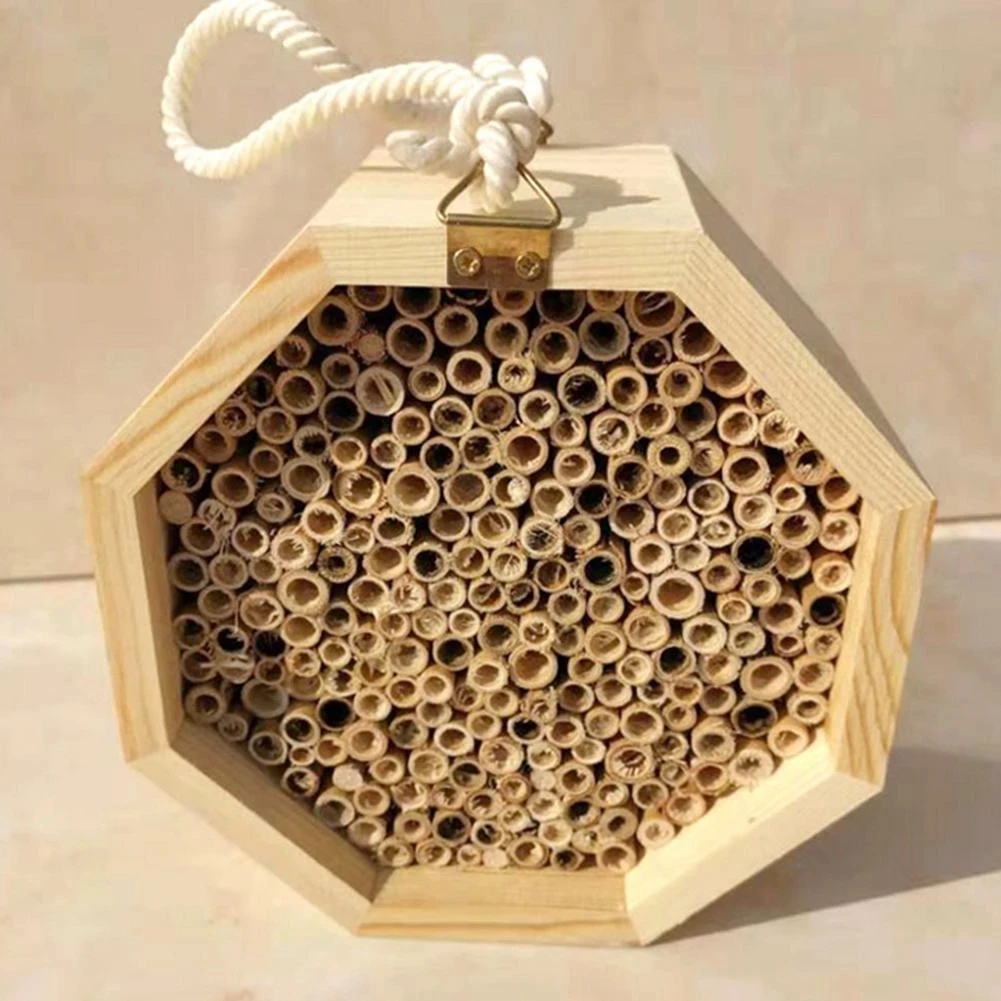 Mason bee House garden natural wood creative honeycomb attracts peaceful bee pollinators