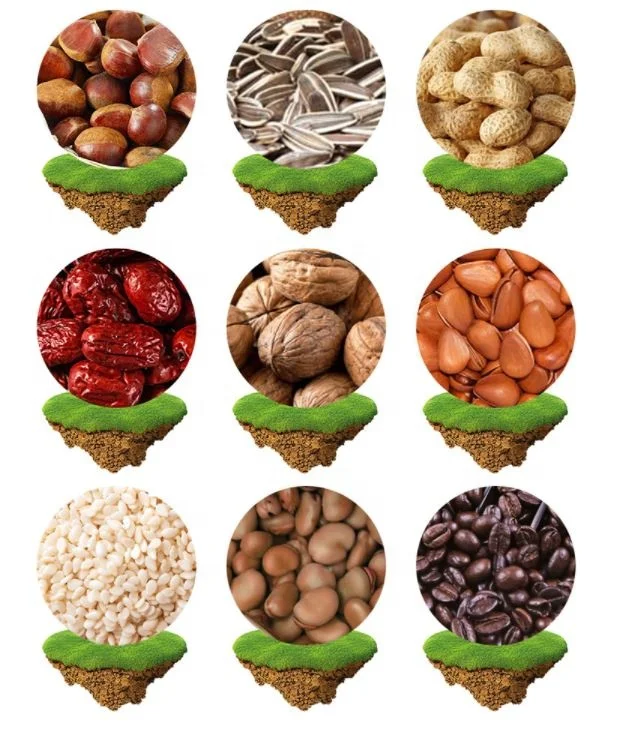 Gas electric two kinds of heating methods chestnut roasting machine commercial nut peanut roaster for sale