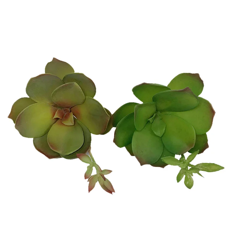 Packaging Customization Succulent Artificial Mini Sale Latest Artificial Plants