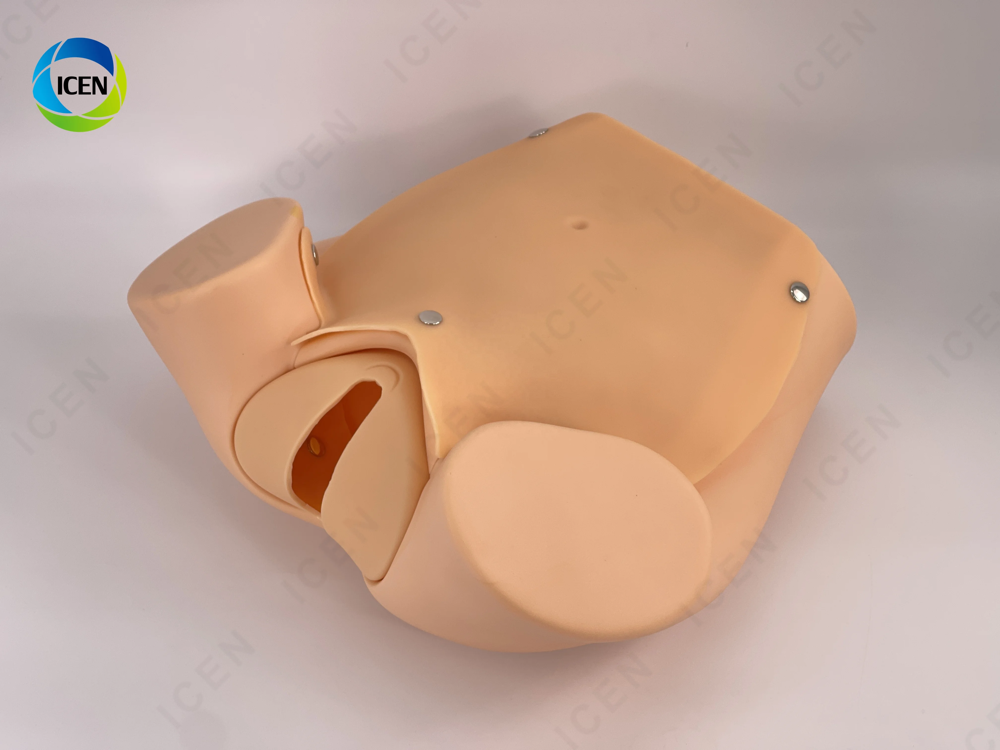 IN-M10 Delivery Model Maternal And Infant First Aid Training Model Of Emergency Nursing For Pregnant