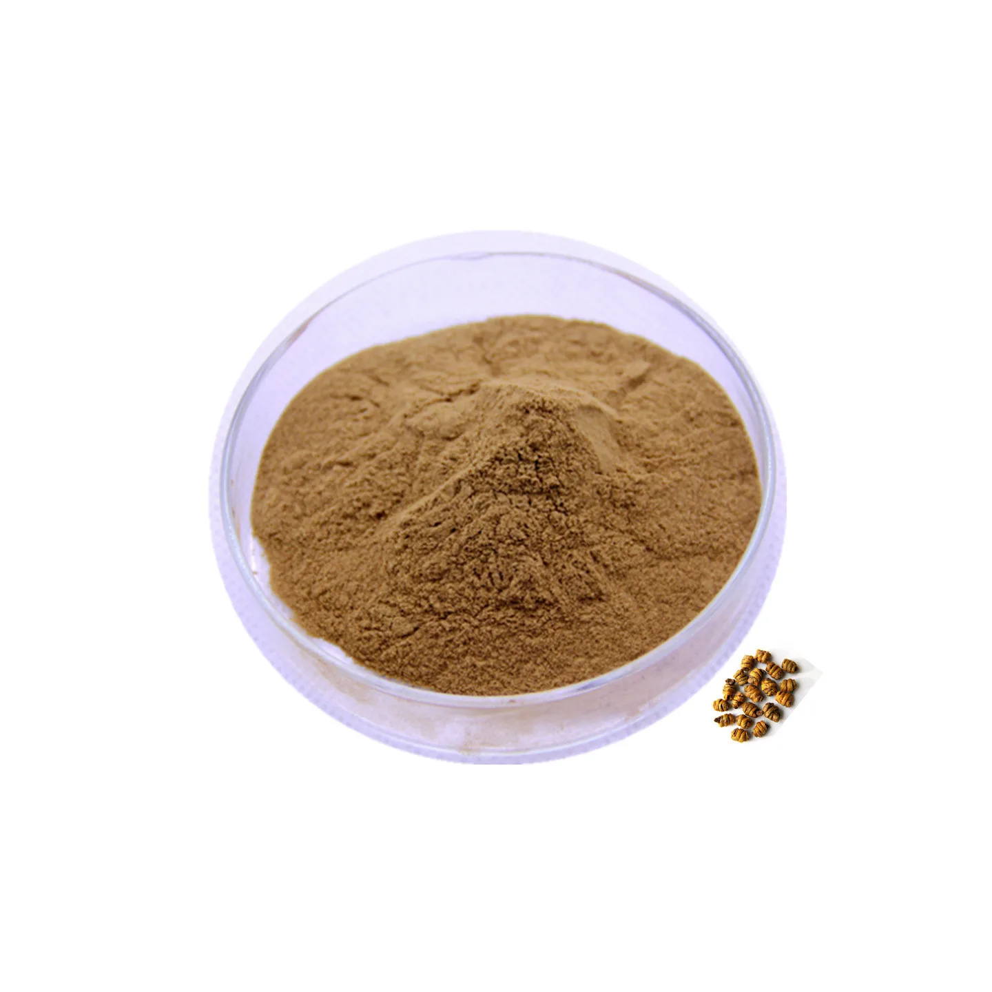 Wholesale dendrobium officinale dendrobium candidum Extract