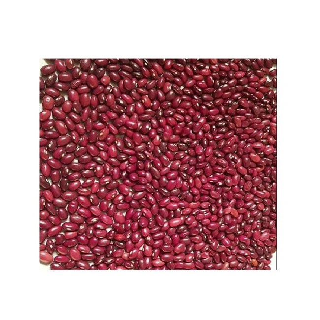 Wholesale Hot Selling High Quality Export New Crop Dry Light Red Kidney Beans From Ethiopia