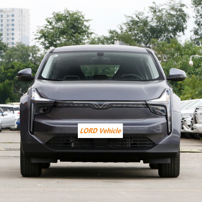2021 best selling Chinese high speed FWD electric SUV car NETA U EV car cheap price with new design and big size