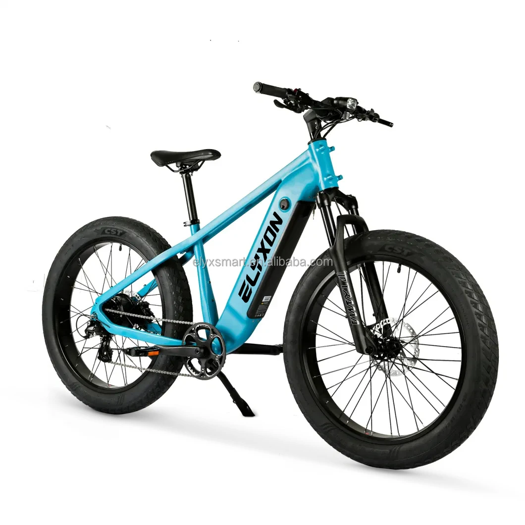 Custom MTB Electric Bike All Terrain 48V Electric Mountain Bike 1000W 750W 500W Hunting Bike 26 Inch Electric Fatbike