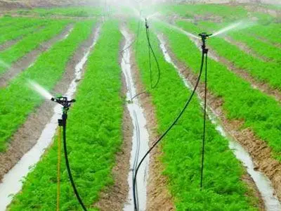 irrigation sprinkler agricultural Standing Stake Water Irrigation Sprinkler and Stake System Farmland greenhouse garden