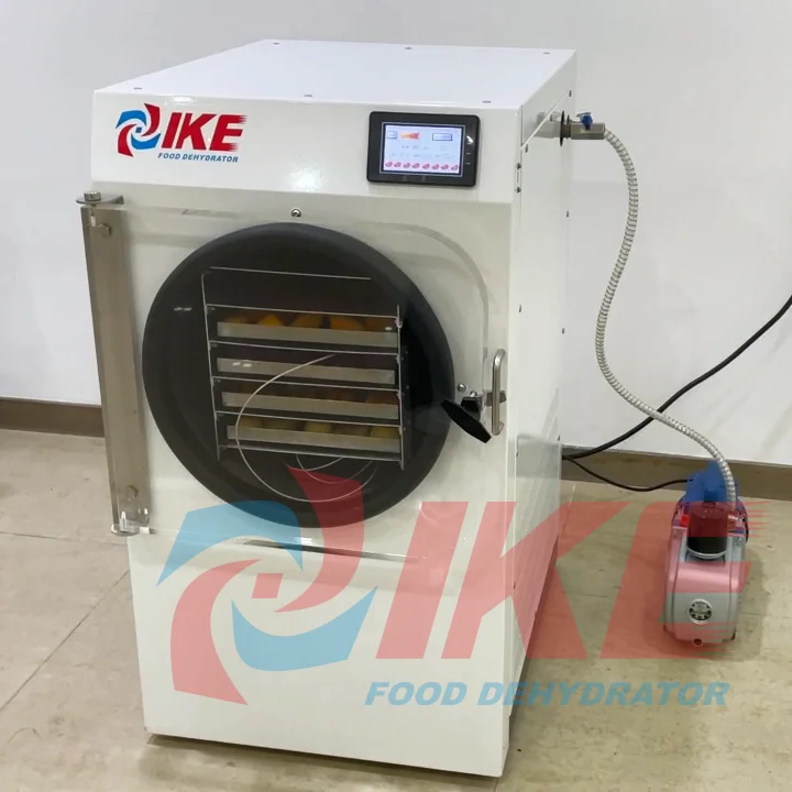 IKE Freeze dry fruit liofilization machine freeze dryer dry machine