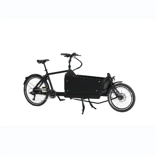 7 speeds electric cargo bike  2 wheels cargo bike family cargo bike