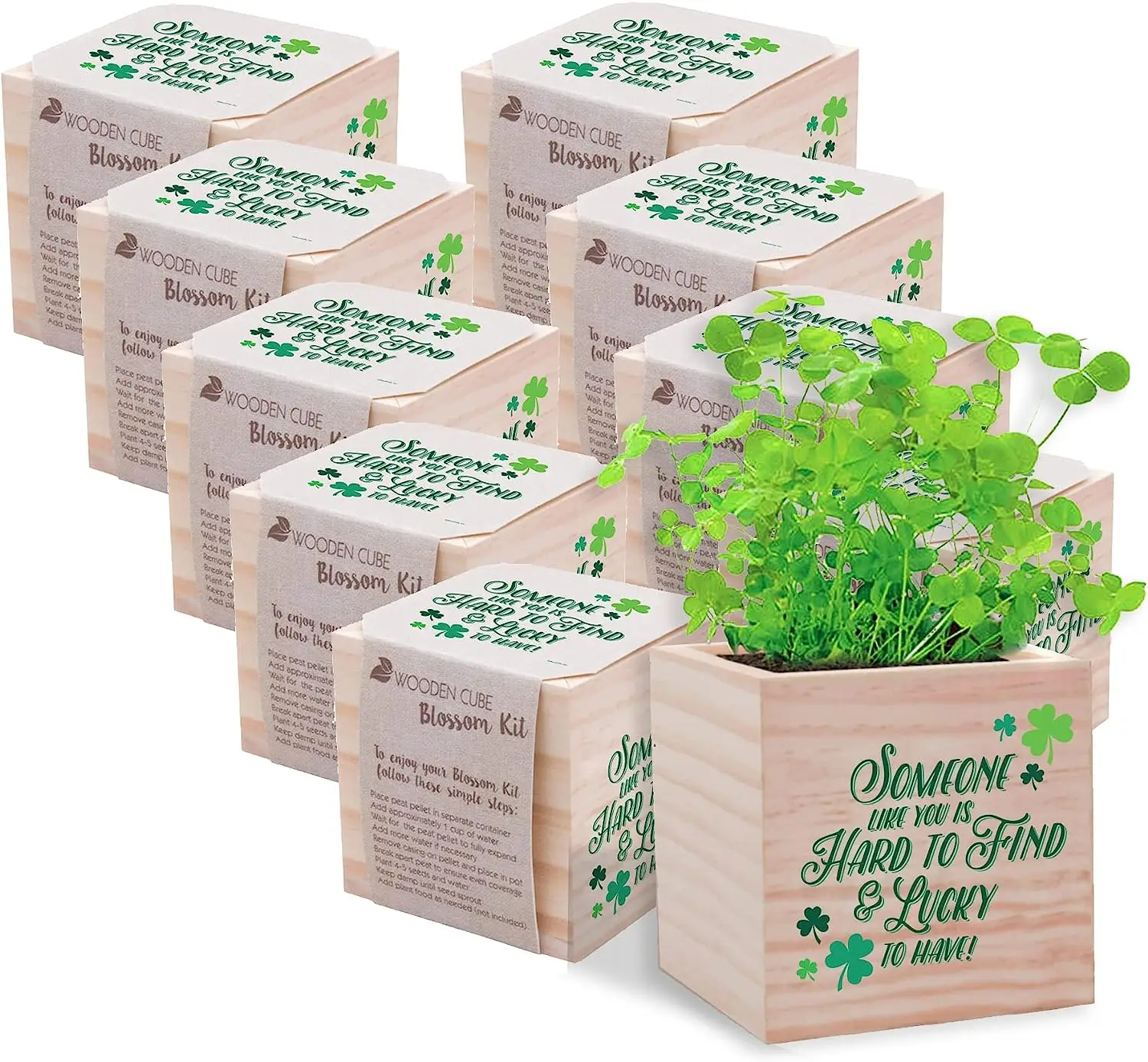 Indoor Kid Diy Wooden Pot Small Plant Desktop Growing Garden Starter Kit without Seed