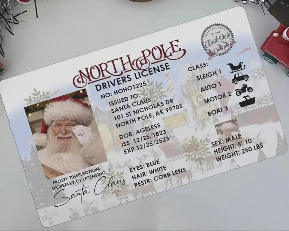 Christmas gift for kids Santa Claus sleigh license sleigh driving license