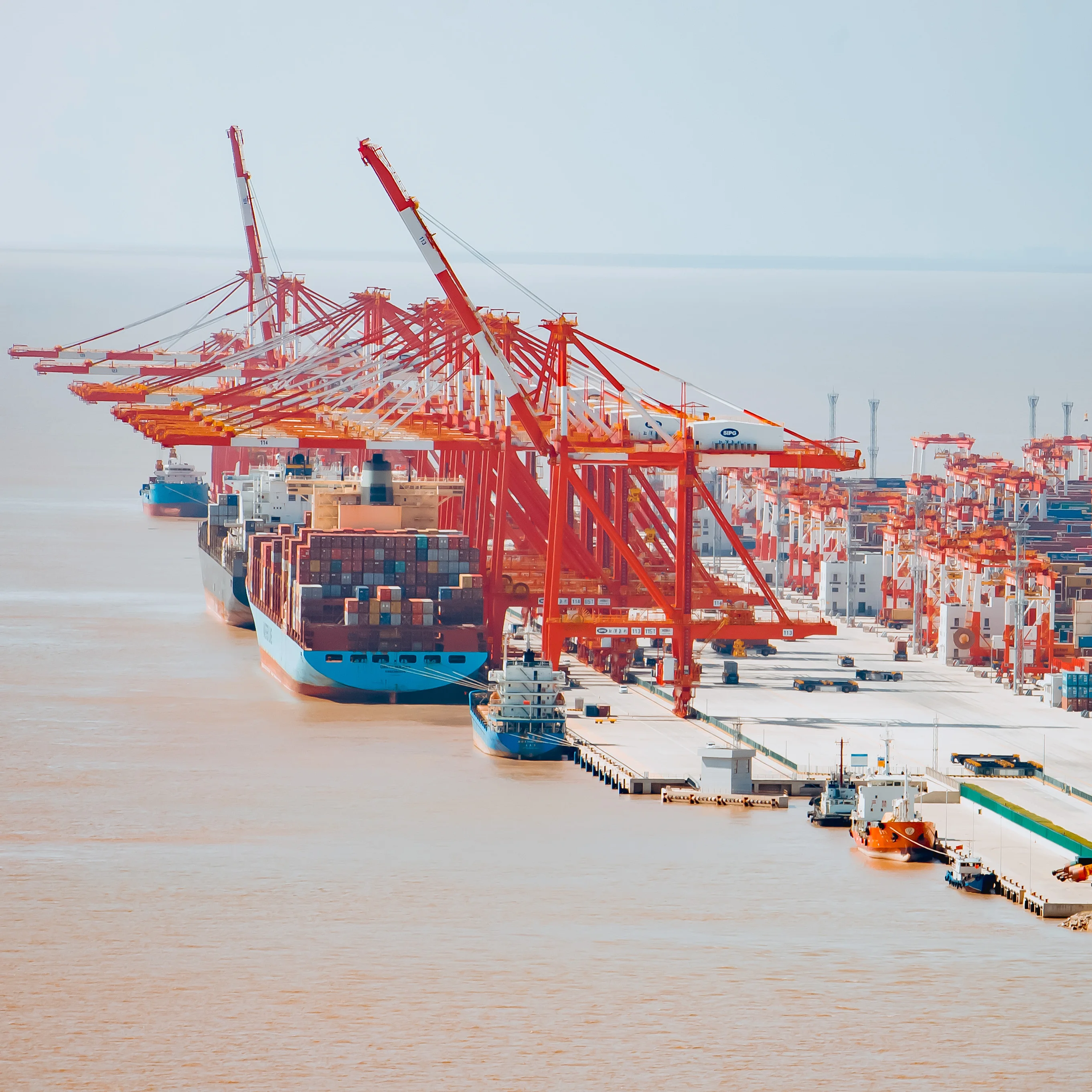 Экспедитор COSCO MSK MSC APL CMA контейнер для