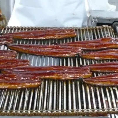 Kabayaki unagi Roasted eel for sushi or Japanese cuisines
