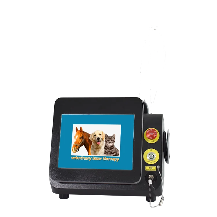 Veterinary Laser Class 4 30w Physiotherapy Equipement 980nm Diode Lazer Surgical
