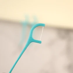 Tooth Clean and Care dental floss plastic toothpicks floss pick