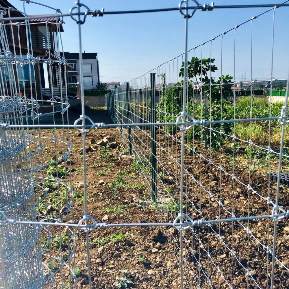 2.2mm 2.5mm 2.7mm wire heavy duty fixed knot woven wire field fence/ Galvanized Sheep Farm Fence Field Fence