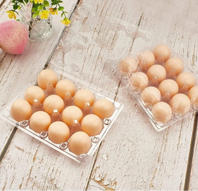 Plastic Egg Cartons Cheap Bulk 1 Dozen Clear Empty Egg Cartons for Chicken Eggs