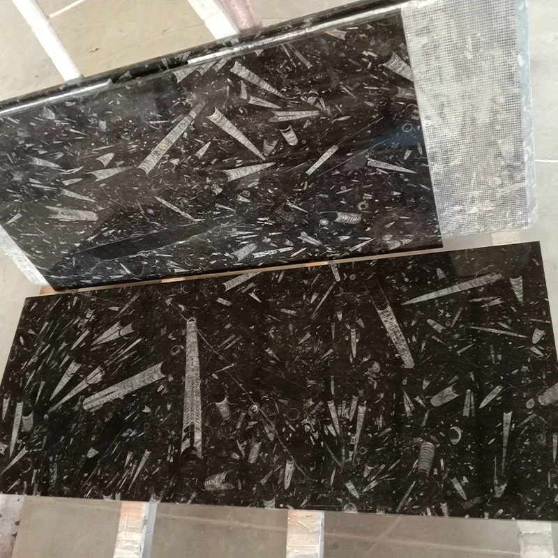 Creative Stone Slab Conch Fossil Black Marble slabs white pattern Black Marble slab for bathroom countertop