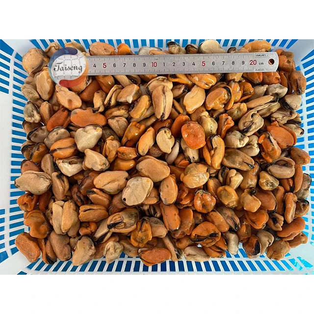 Frozen Shellfish Mussels Blue Mussels Meat Half Shell Mussel