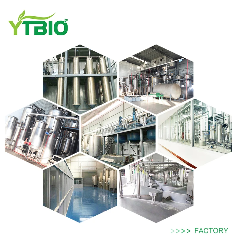  YTBIO 95% Кверцетин Порошок CAS