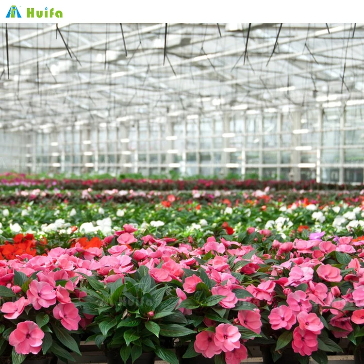 Modern Venlo Glass Nigeria Vegetable Greenhouse Multi-Span Commercial Flowers Green House With Tomato Hydroponic System