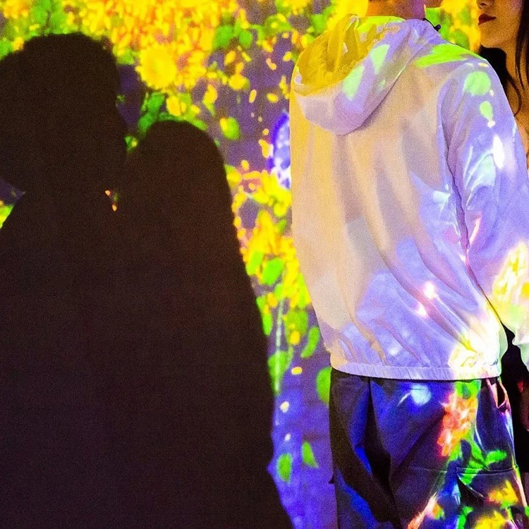 Digital Art Installation Projection Mapping Museum Exhibition immersive interactive projector Wall Projection Experience