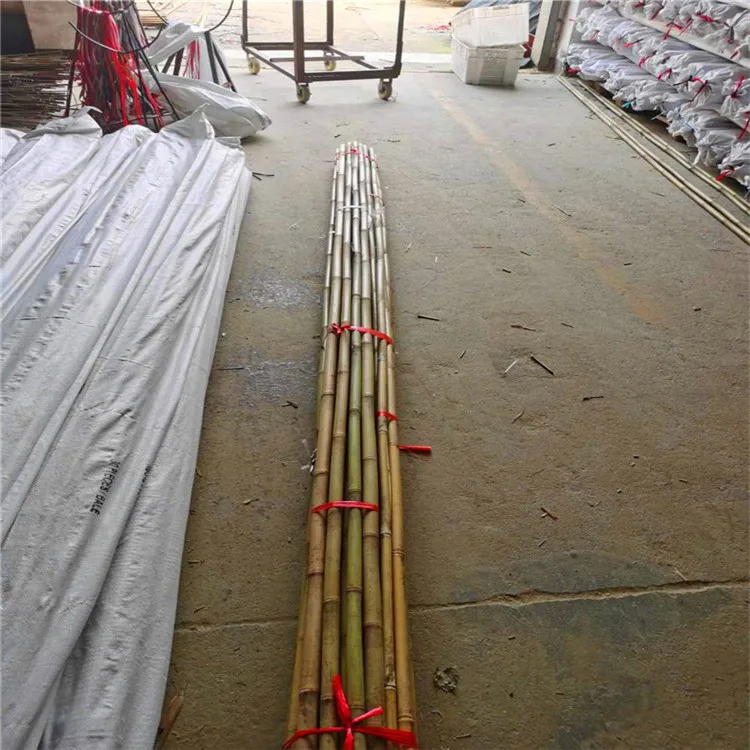 plastic coated bamboo pole for support or you want