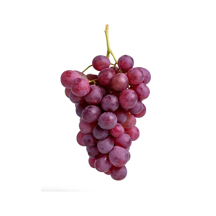 Grapes Fresh Brazil Wholesale Price Export Production Line Fresh Grapes