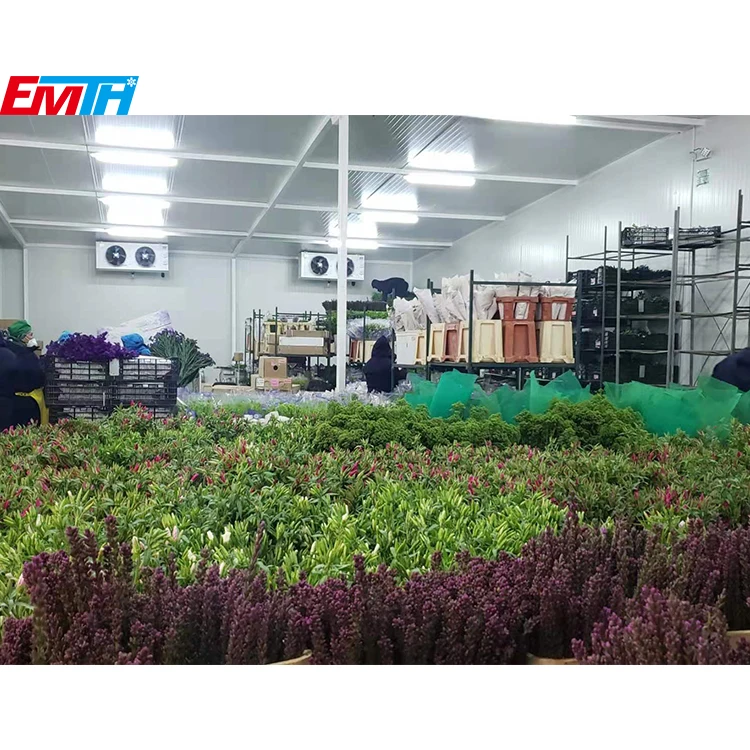 Холодильная камера EMTH для рыб, морозильная камера