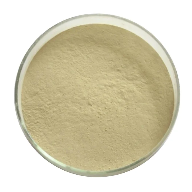Factory Supply  Hydrolyzed Collagen Type II Collagen Type 2 powder