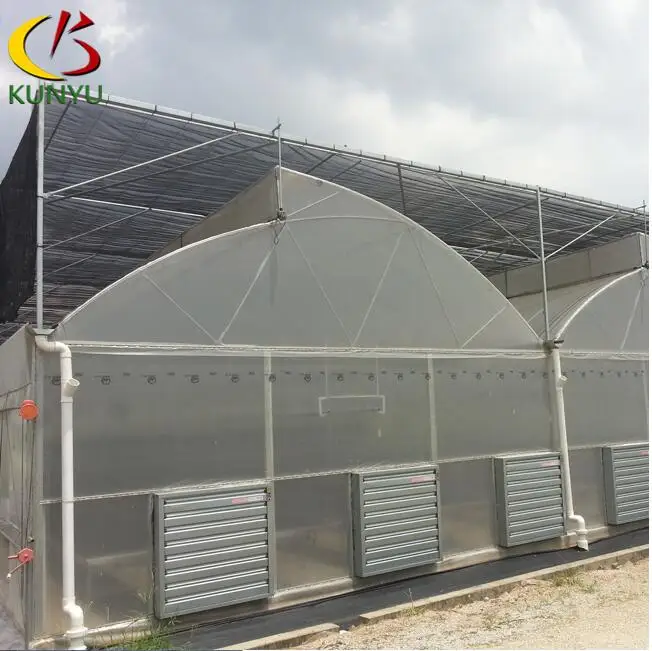 Gothic Arch Greenhouse Tropical Hydroponic System Agriculture Growing Sawtooth Plant House Tomato Planting For Sale