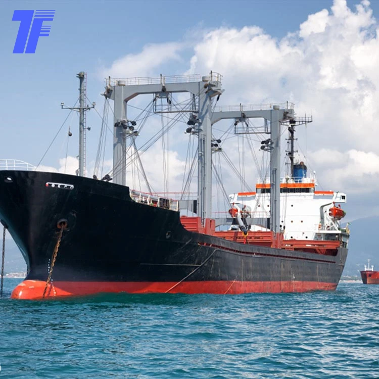 Cheap LCL Sea Shipping Service Professional Freight Forwarder from China to Egypt Port to Port Shipping Egypt