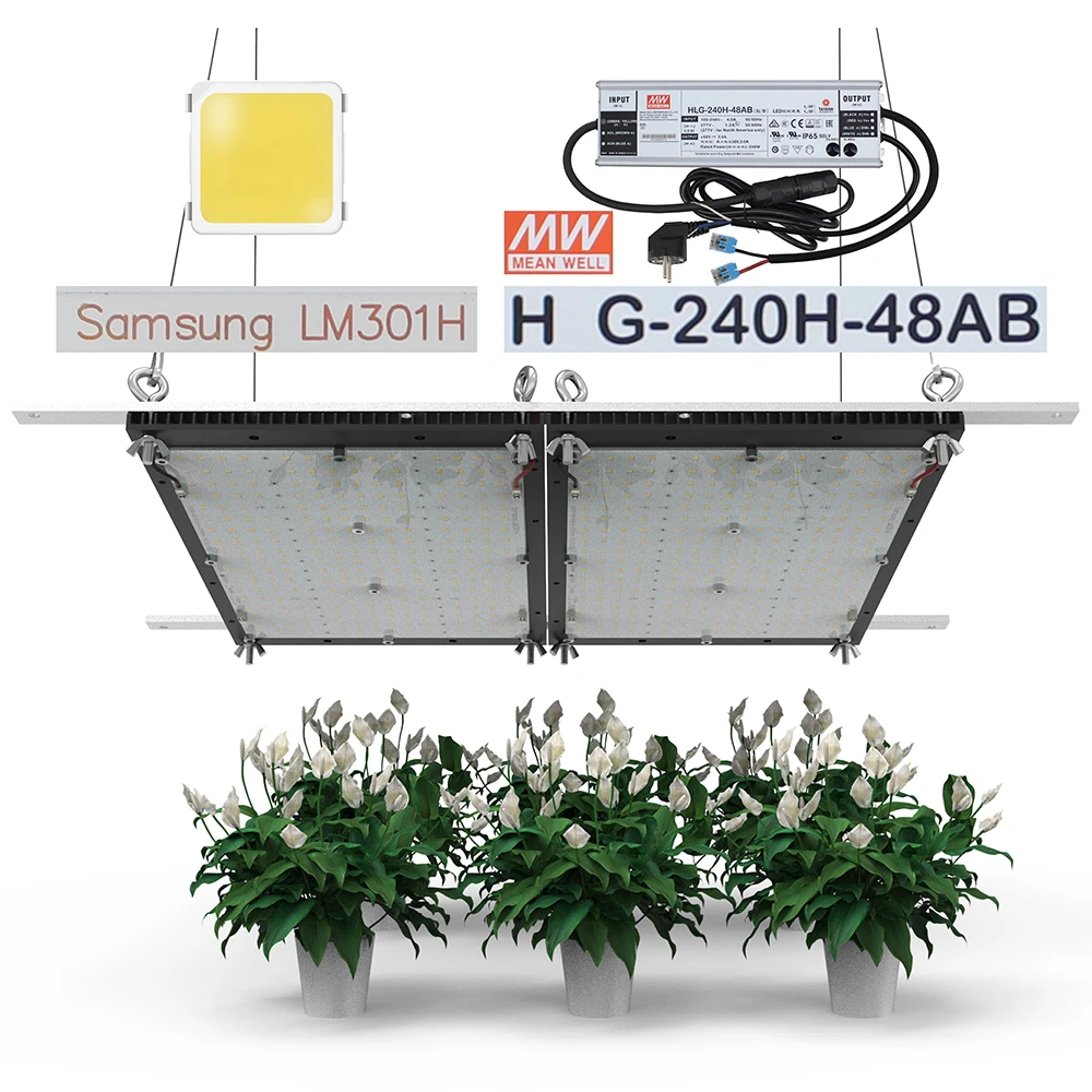 Estares Separate heatsink 240W 1000W Quantum LM301H V3 plate LED Grow Light mix 660nm UV IR MeanWell 3000K 3500K 4000K