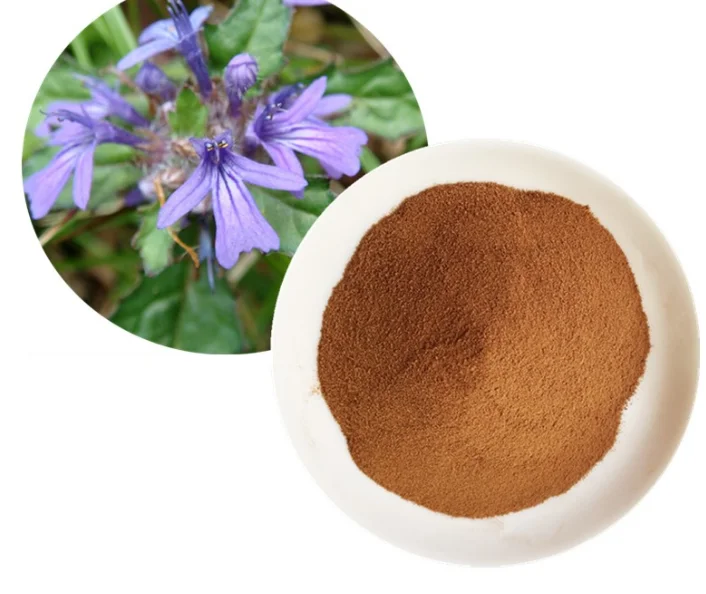Brown powder pure turkesterone powder extract from ajuga turkestanica