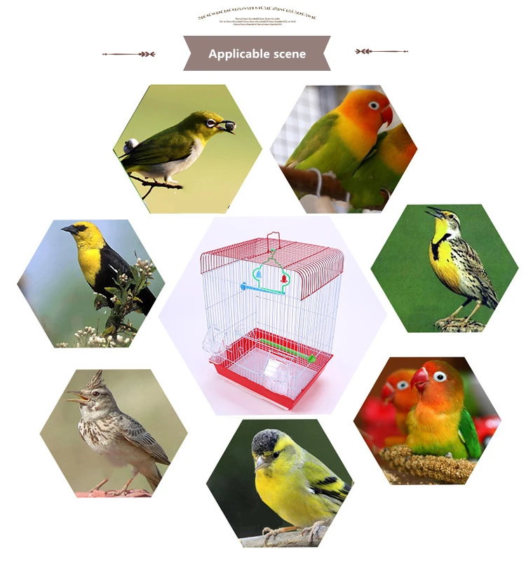 small aviary travel canary parrot bird iron metal cage for sale in china